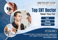 top ENT doctor