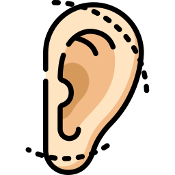 Ear Endoscopy & Surgeries